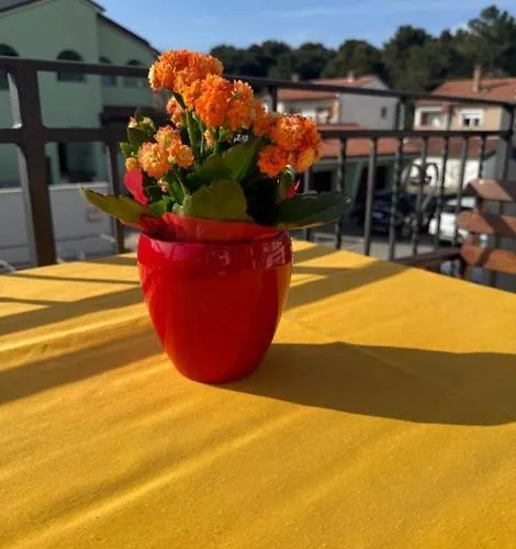 Apartament Modern Milotić Pula