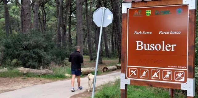 Modern Milotić Apartament