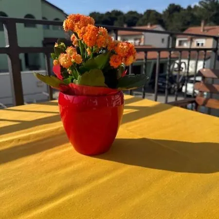 Apartment Prime Location Apartment With Free Private Parking & Balcony Pula