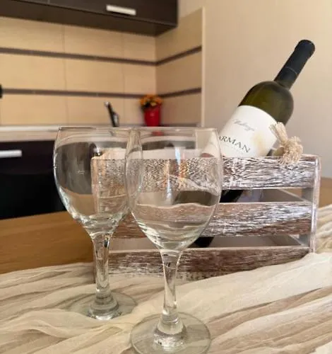 Modern Milotic Apartment